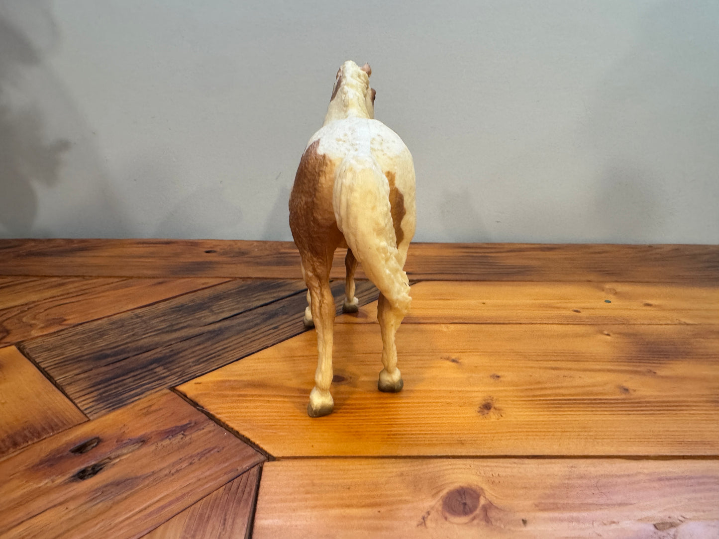 No. 20 Misty of Chincoteague