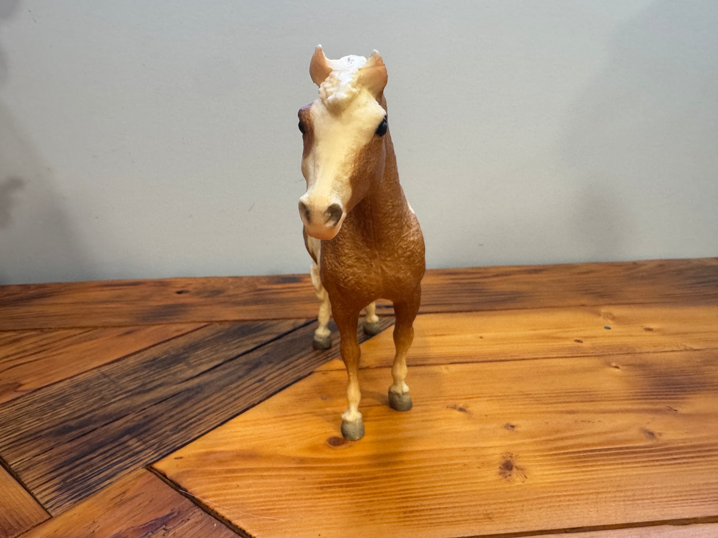 No. 20 Misty of Chincoteague