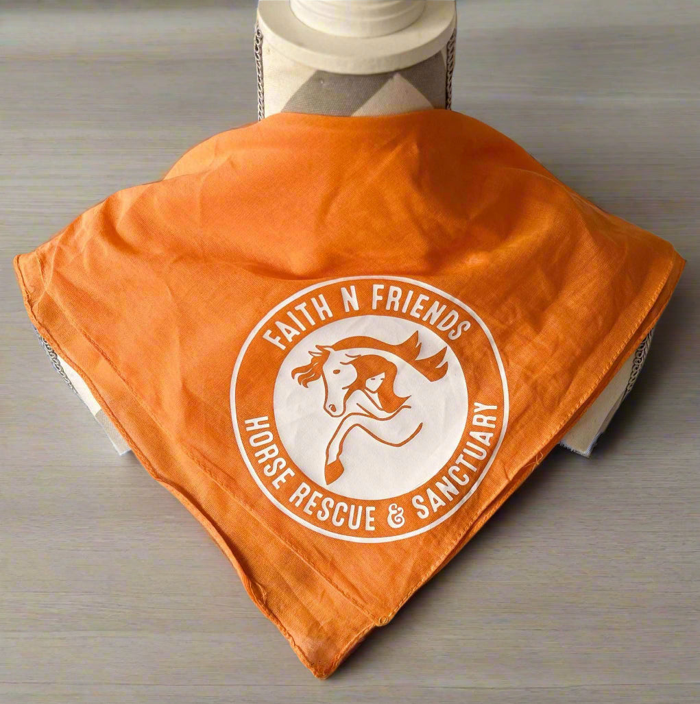 FNF Bandanas