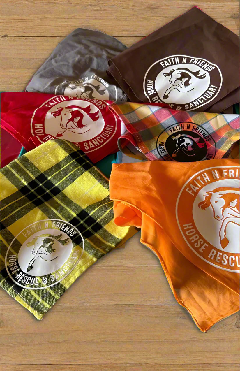 FNF Bandanas