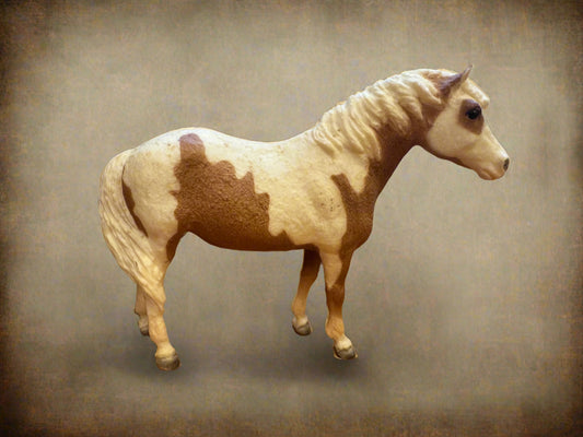 No. 20 Misty of Chincoteague